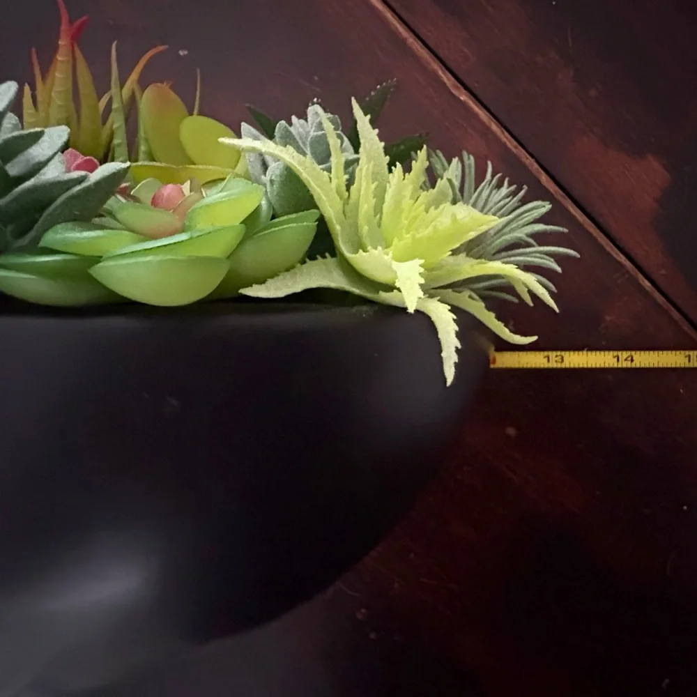 Succulent Arrangement in Black ceramic Bowl for wall